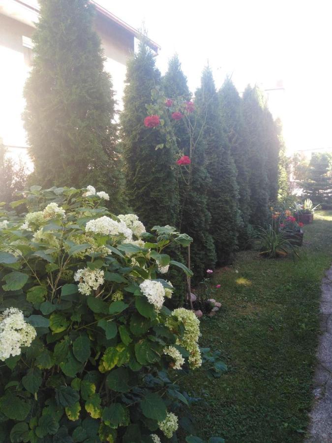 Pensjonat u Misiów Suwałki Exterior foto